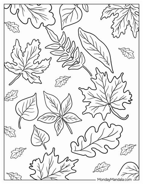 Leaves Printable Coloring Pages