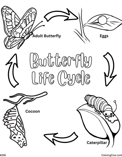 Life Cycle Of Butterfly Coloring Page