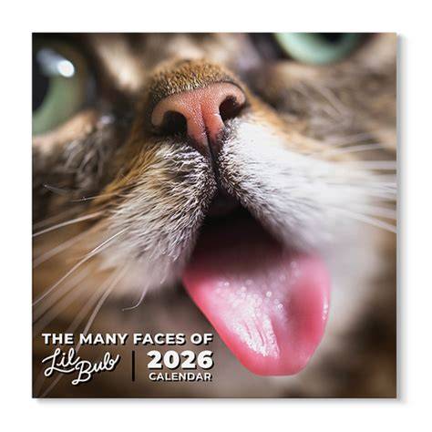 Lil Bub Calendar