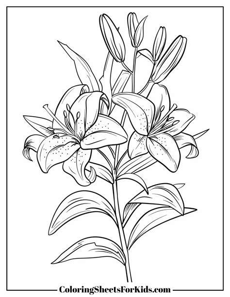 Lily Coloring Page