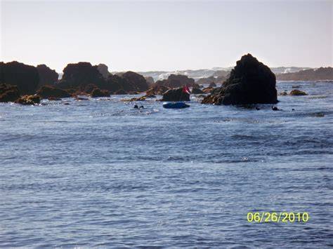 Mendocino Tide Calendar
