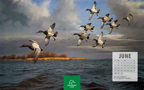 Mn Du Calendar Winners