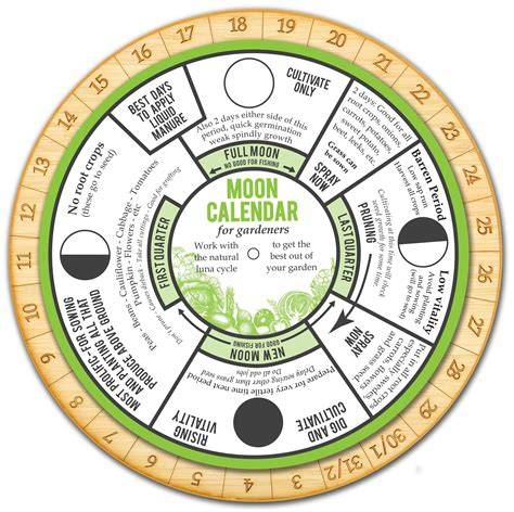 gardening by the moon calendar