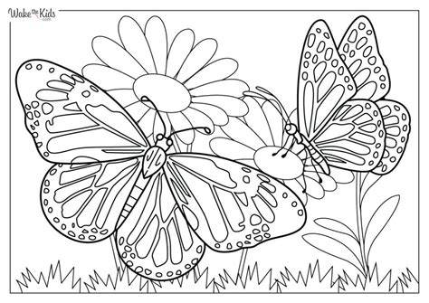 Monarch Butterfly Color Page