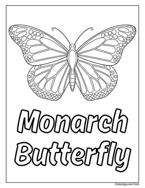 Monarch Butterfly Coloring Sheet