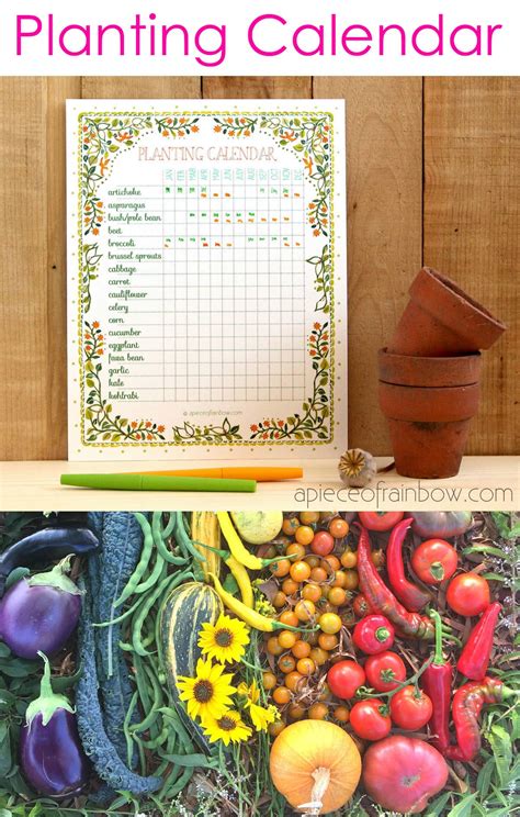 garden planting calendar