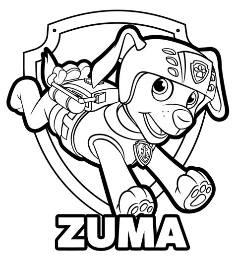 Paw Patrol Coloring Pages Zuma