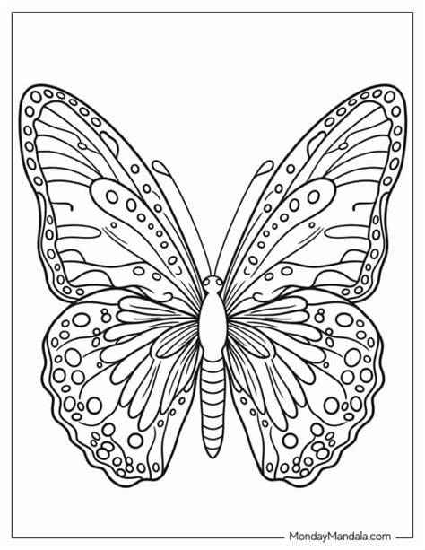 Pictures Of Butterflies To Colour