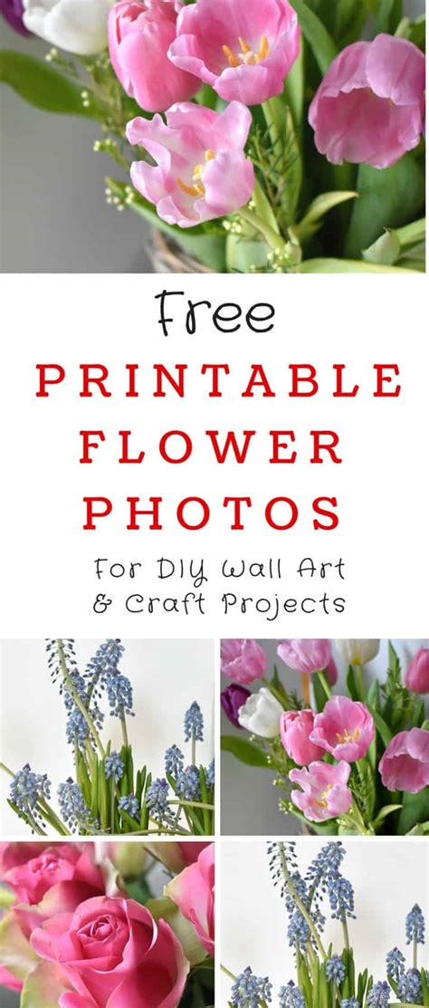Pictures Of Flowers To Print