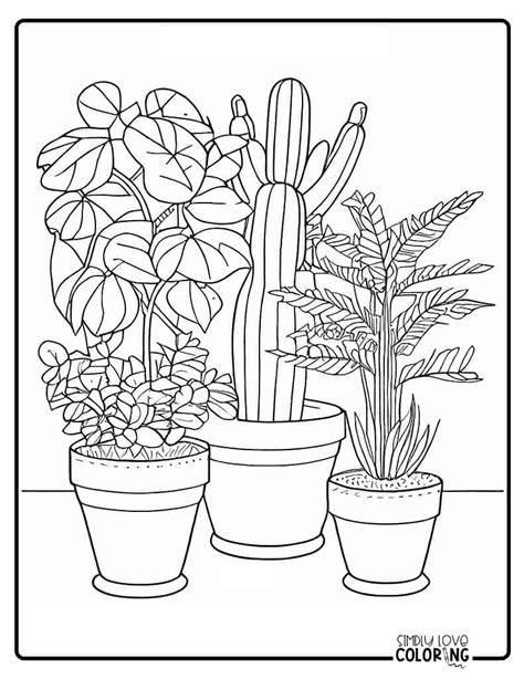 Plant Color Pages