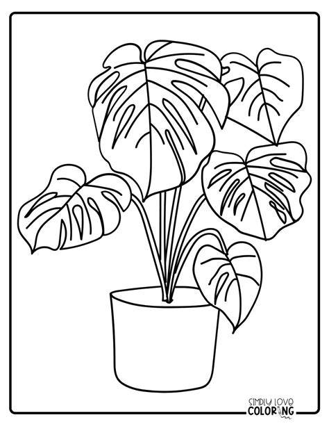 Plant Colouring