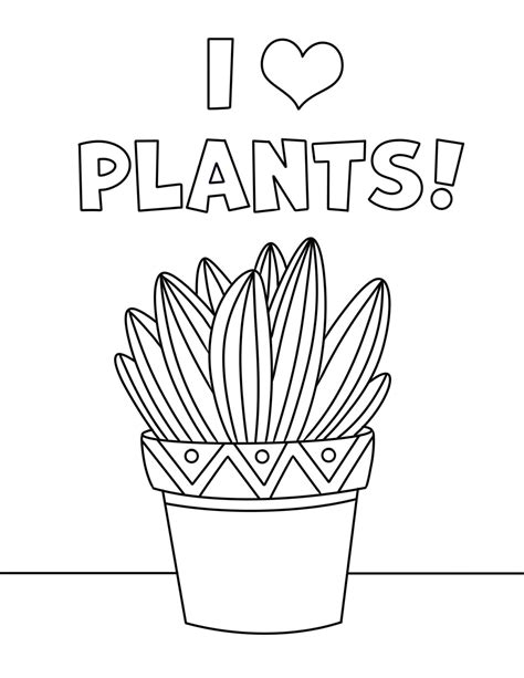 Plant Pictures To Color