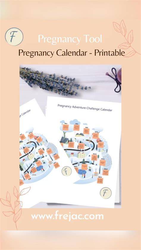 Pregnancy Calendar Countdown