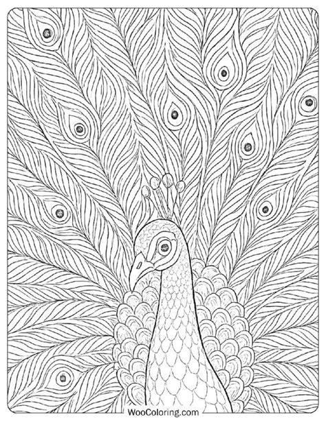Printable Adult Coloring Book Pdf