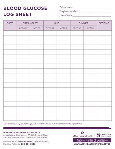 Printable Blood Glucose Journal