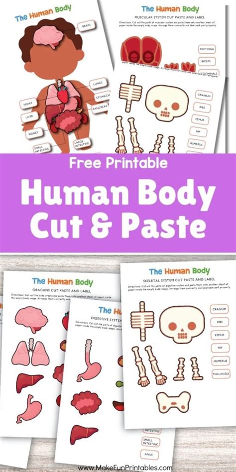 Printable Body Parts Cut And Paste
