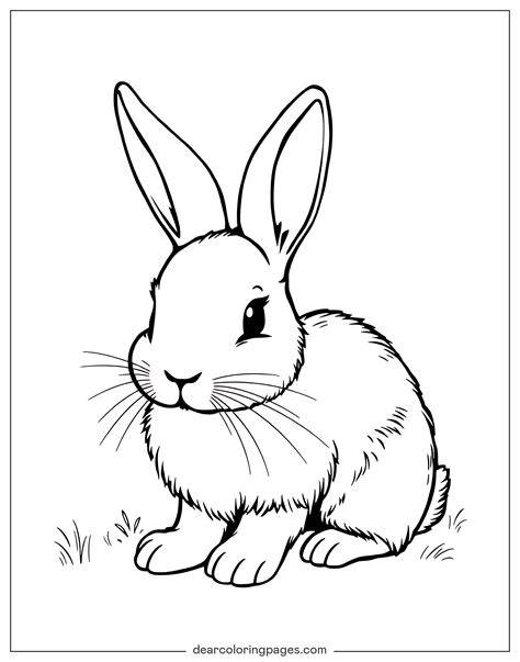 Printable Bunny Pictures To Color