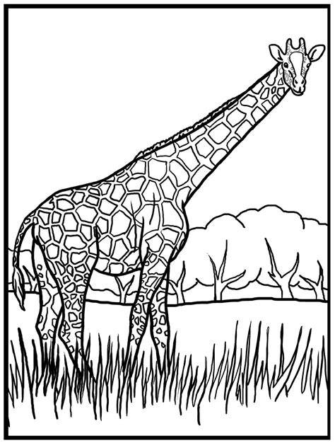 Printable Coloring Pages Of Giraffes