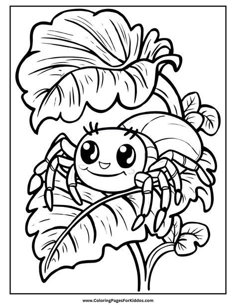 Printable Coloring Pages Of Spiders