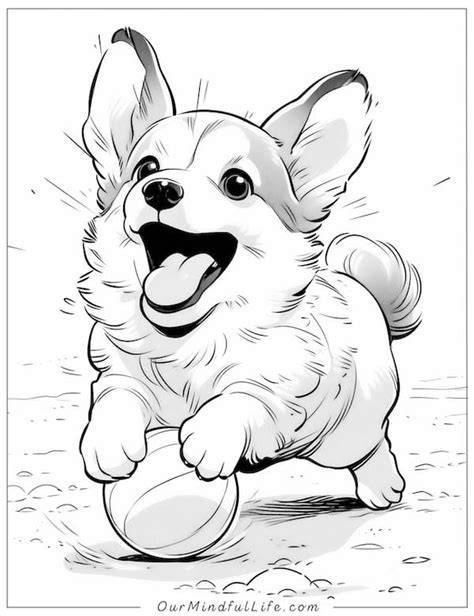 Printable Corgi Coloring Pages