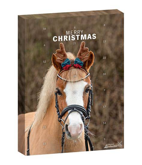 horse advent calendar