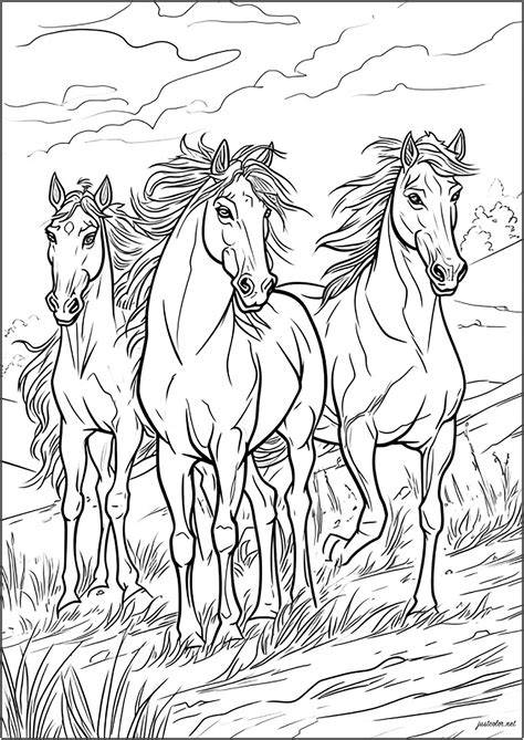 Printable Horse Coloring Pictures