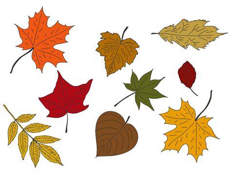 Printable Leaves In Color