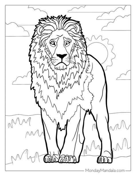 Printable Lion Coloring Pages