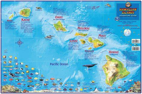 Printable Map Hawaiian Islands