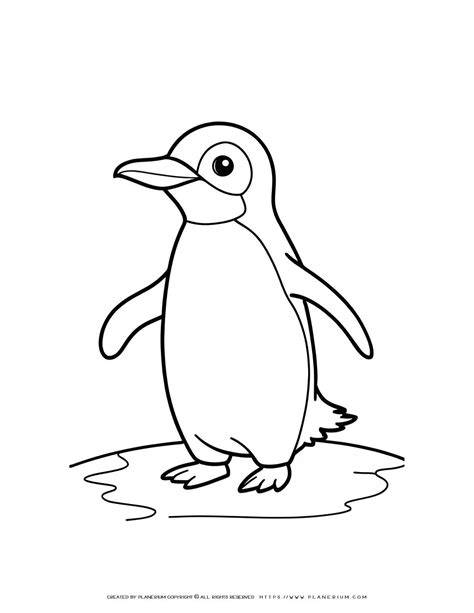 Printable Penguin Pictures