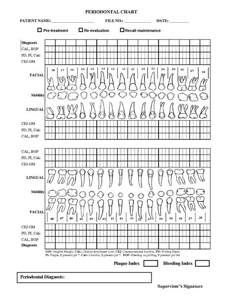Printable Periodontal Probing Chart
