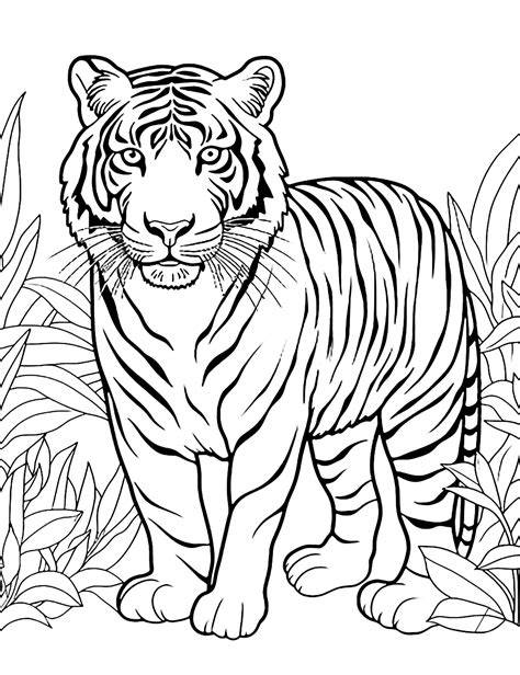Printable Pictures Animals