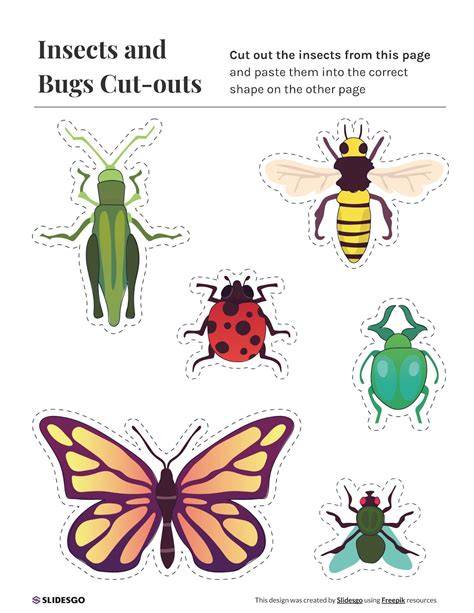 Printable Pictures Of Bugs And Insects
