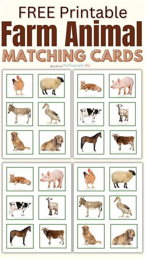 Printable Real Farm Animals