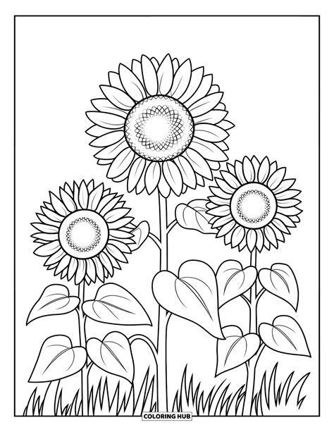 Printable Sunflower Pictures
