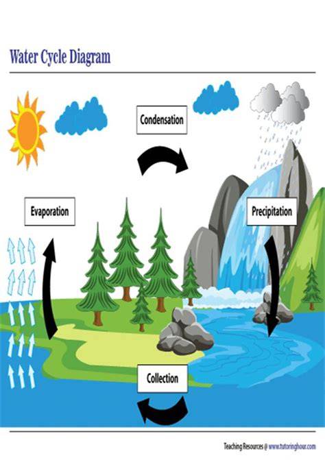 Printable Water Cycle Diagram