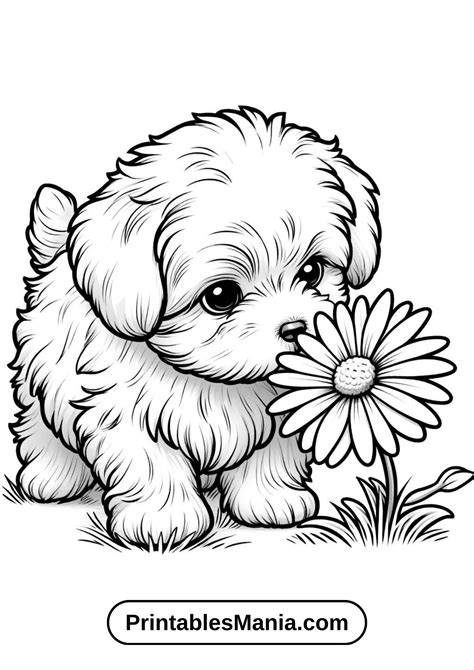 Puppy Dog Printable