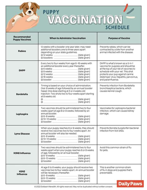 Puppy Shot Schedule Printable