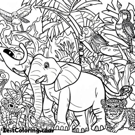 Rainforest Animals Pictures To Color