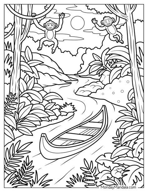 Rainforest Pictures To Color