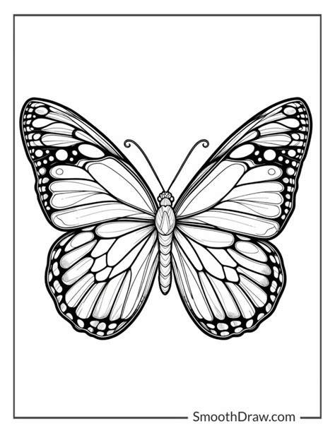 Realistic Butterfly Colouring Pages