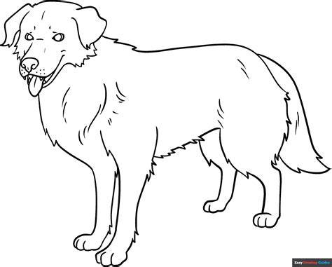 Realistic Dog Coloring Pictures