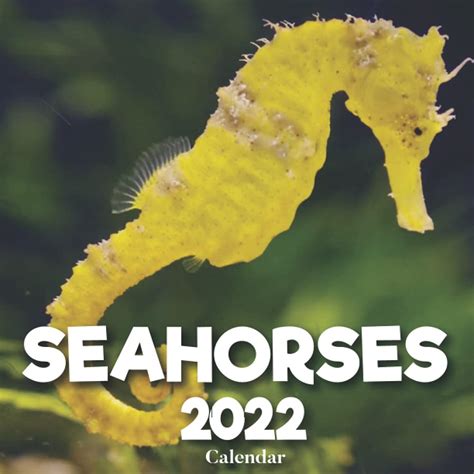 Sausalito Seahorse Calendar