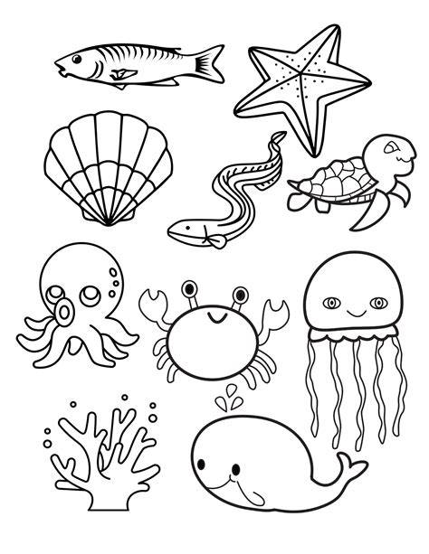 Sea Animal Printouts