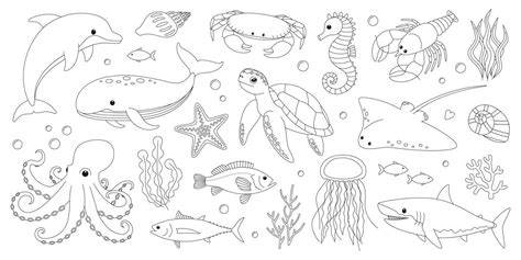 Sea Creatures To Color