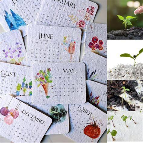 Seed Calendar 2025
