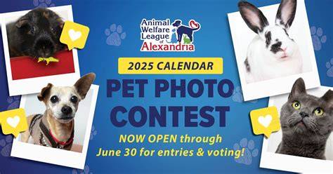 the paw print calendar 2025 winners