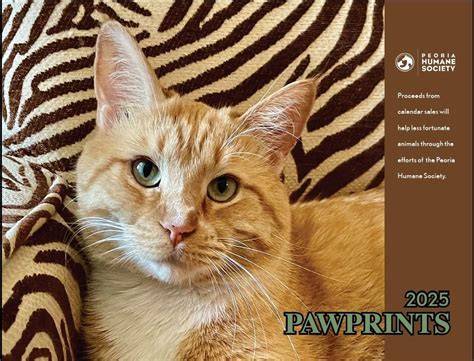 the paw print calendar 2025 winners