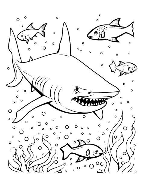 Shark Coloring Pages Printable