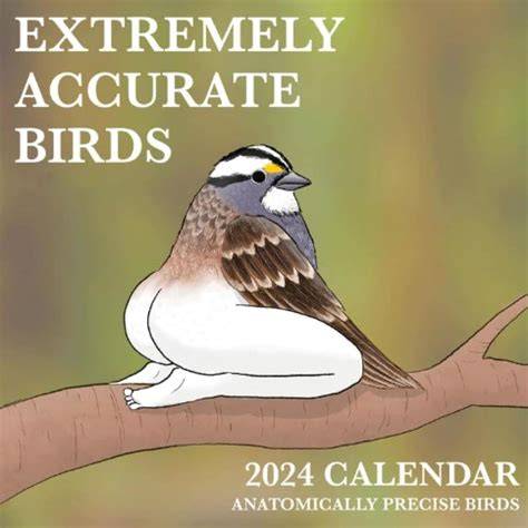 extremely accurate birds calendar